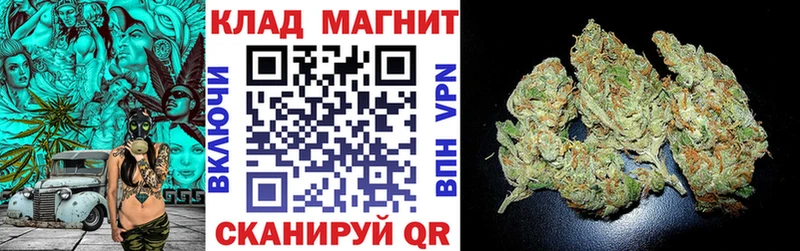 Названия наркотиков Липки A PVP Мефедрон Псилоцибиновые грибы ГАШ