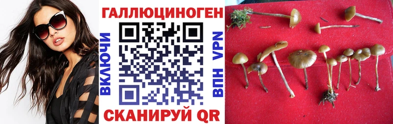 Псилоцибиновые грибы Magic Shrooms  Липки 